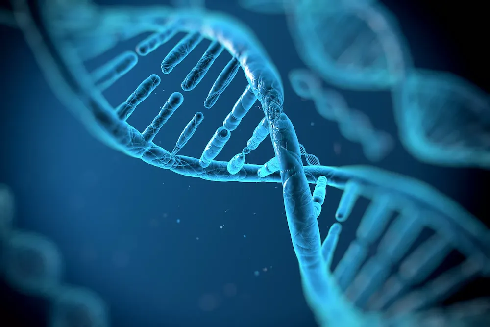 精子 DNA 碎片指数检测（DFI）